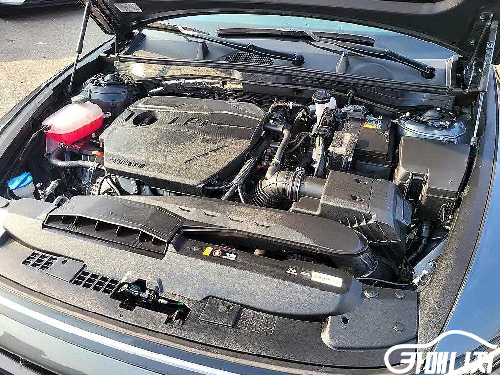 Hyundai Sonata Sonata The Edge LPG 2.0 thumbnail 17