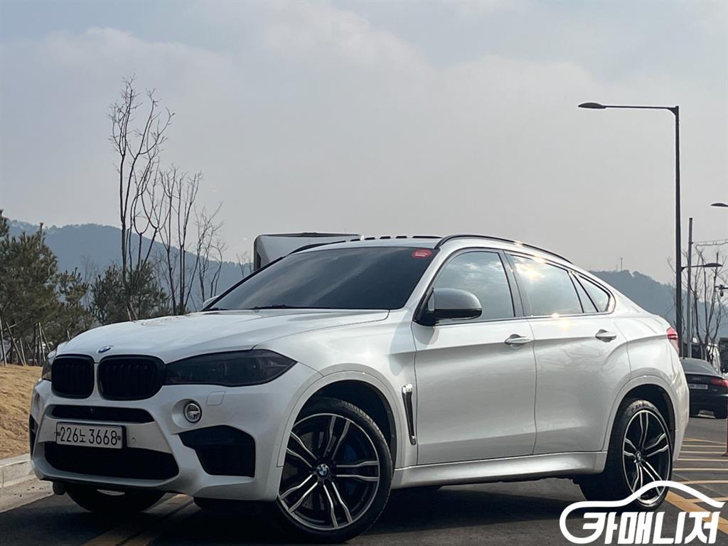 BMW X6 X6 M