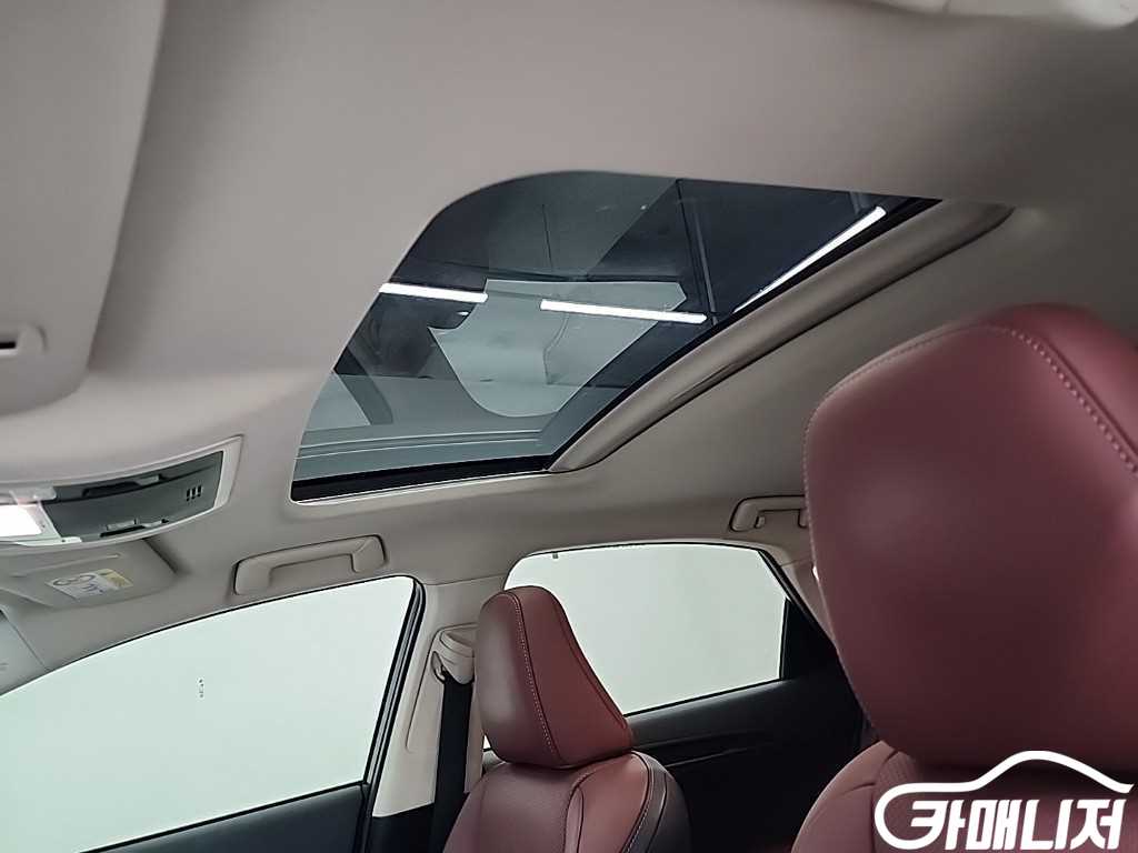 Lexus NX NX 300h Executive thumbnail 14